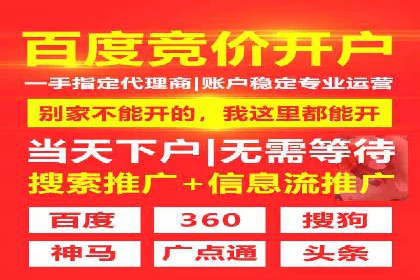 解析SEM托管的关键词策略——以某公司为例